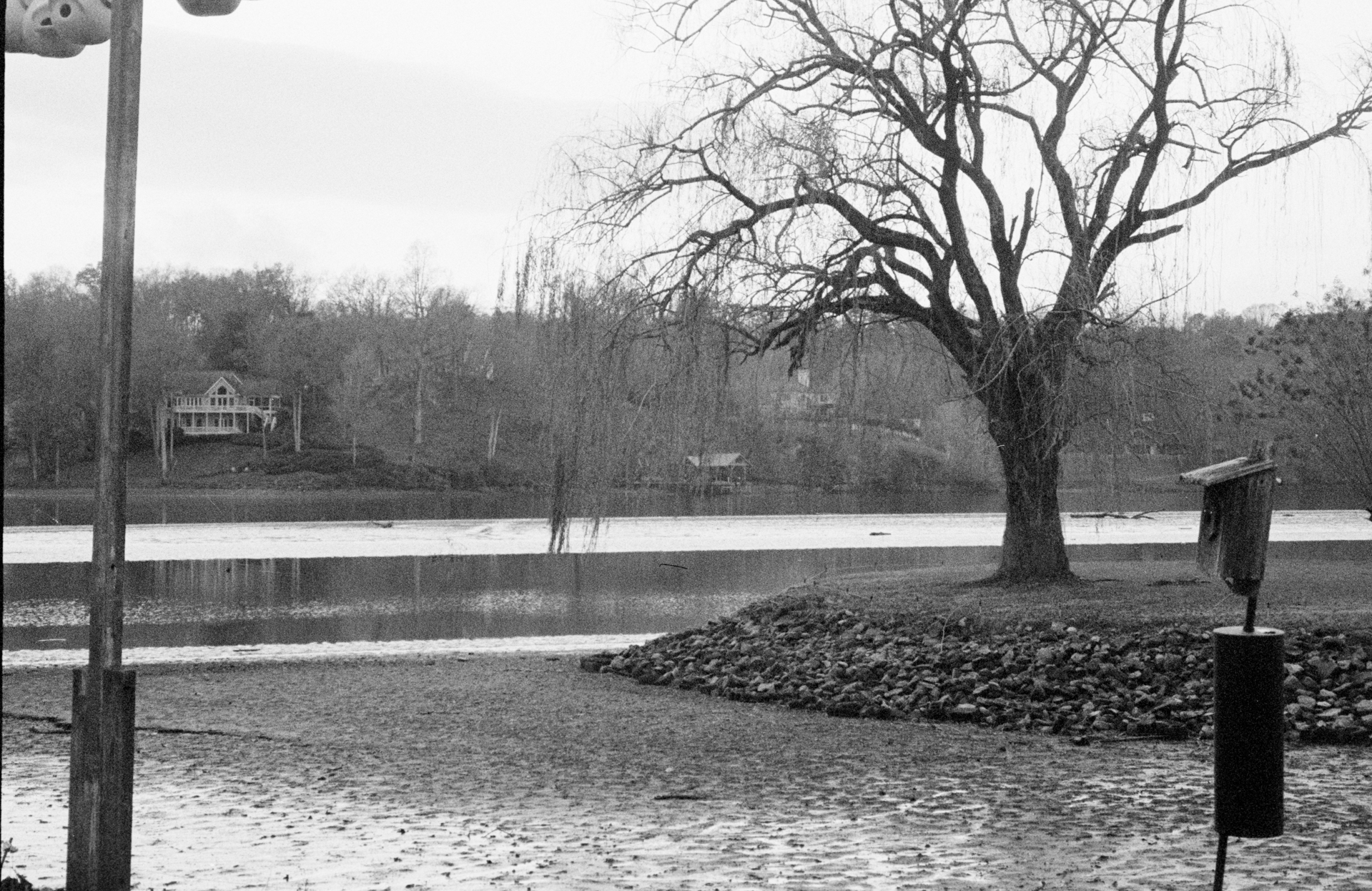 What I Wish I was Able to Say, Caroline Schultz